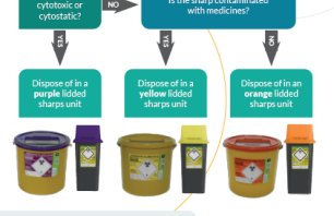 Sharps disposal poster thumbnail.PNG