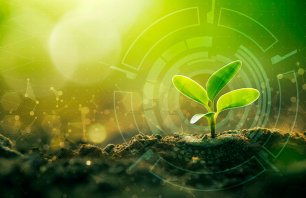 Young Sprout Agricultural Technologies, Scientific Research Banner, Organic Digital Background. Copy Space