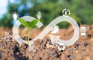 Young green plant growing in soil with circular economy icons representing sustainability and recycling.