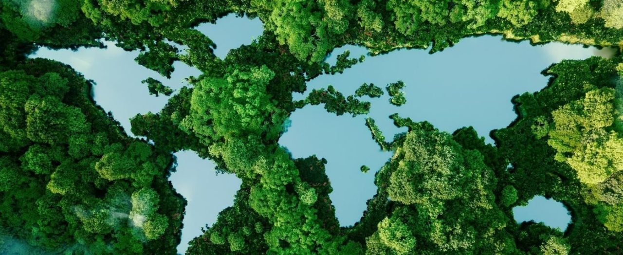 pools of waters shaped like map of world within rainforest